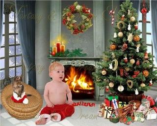   Digital backgrounds Holiday Santa Baby Children Backdrops Winter