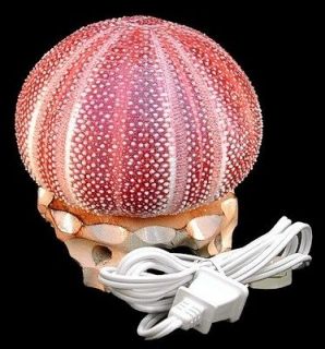Beautiful Large Seashell Lamp made from a Real Red Sea Urchin Shell ~5 