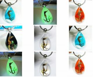   lots 12pcs real insect&weed&st​one magic mix xmas key chain ring