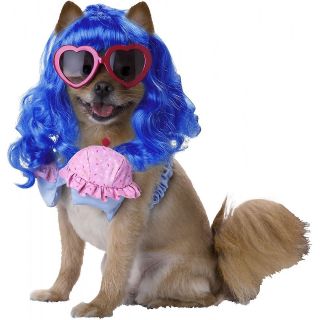 California Girl Pet Pop Star Katy Perry Diva Halloween Dog Costume