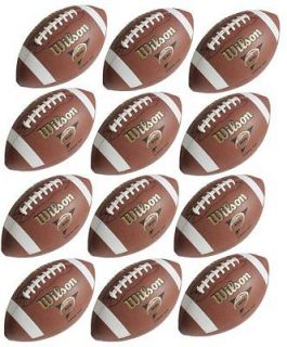 12) WILSON WTF1663B NCAA American Football Junior Size Balls Play 