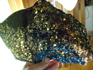 569g BrenhamKansas Pallasite Awesome slice by Meteorite Mens Steve