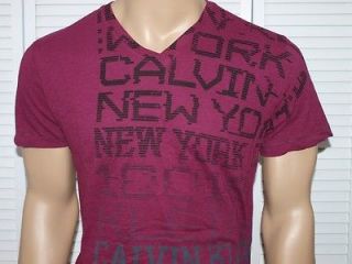 CALVIN KLEIN Digital Ombre Logo V neck T Shirt Cranberry NWOT