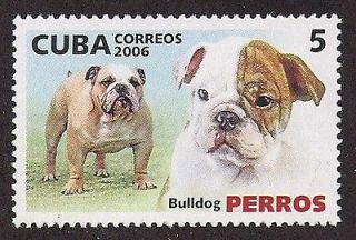 Dog Art Head & Body Portrait Study Postage Stamp ENGLISH BULLDOG Cuba 