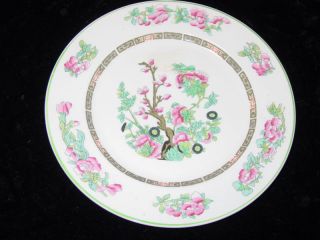 Indian Tree Design Vintage Dinner Plate size 9 from Paussy China Co 