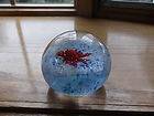 Clear Glass Blue Red Lobster Art Glass paperweight