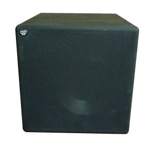 RBH Sound TS 10AP Powered Subwoofer