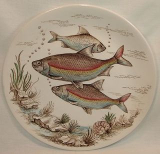BRITISH ANCHOR China FRESHWATER FISH Roach Dinner Plate