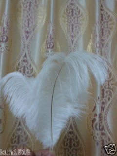white feathers in Multi Purpose Craft Supplies