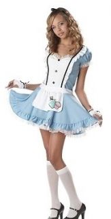   Alice Costume Classic Blue White Dress Apron Tea Time Miss Wonderland