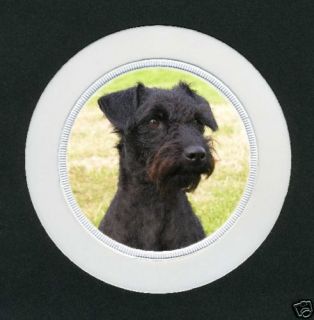 Patterdale Terrier Tax Disc Holder No 1 By Starprint   Auto combined 