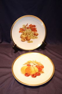 VINTAGE 7 3/4 PLATES FRUIT AND NUTS GOLD CROWN MARK BAVARIA GERMANY 