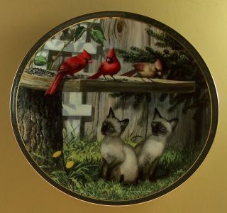   Cat Kitten Plate BOARD MEETING Cardinal #8 Bird Siamese MIB + COA