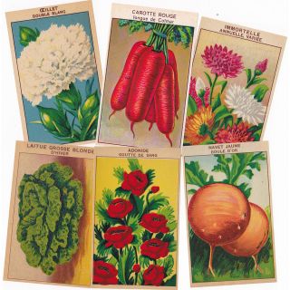 96 Antique French Garden Flower and Vegetable Seed Envelope Labels