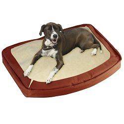 dog bed in Training & Obedience