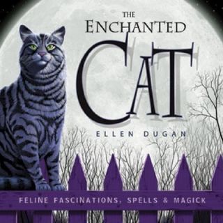  Fascinations, Spells and Magick by Ellen Dugan 2006, Paperback