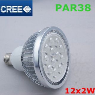 Dimmable PAR38 24W E27/85~265V 12X2W LED Warm Cool White Bulb Lamp