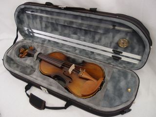 size Beauiful Moon Shape Foamed Violin Case  # VC820BBGR