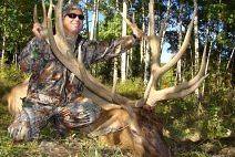 elk in Hunting Trips & Leases