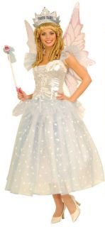 Adult Womens Tooth Fairy Princess Halloween Costume
