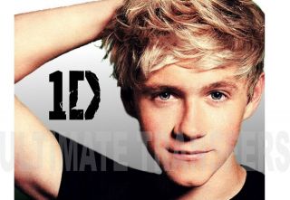 niall horan one direction iron on transfer more options transfer