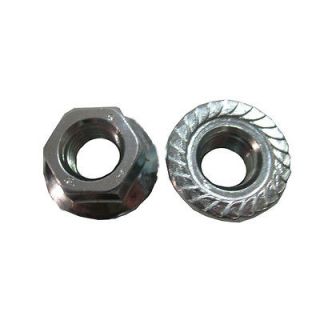 Stainless Serrated Hex Flange Nuts 1/4 20 (Qty 10)