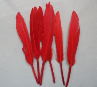 feathers for crafts in Feathers