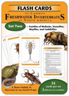   Caddisflies by J. Reese, Jr. Voshell 2009, Cards,Flash Cards