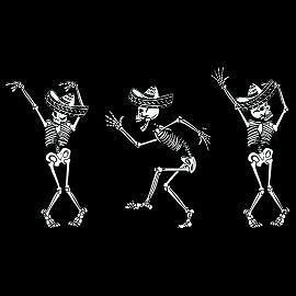 DAY OF THE DEAD Dia De Los Muertos Skeletons Dancing halloween Funny 