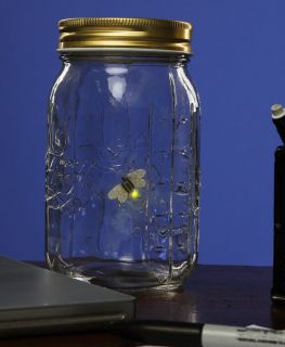   Electronic Firefly in a Jar