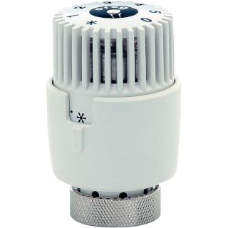 Eberle Heizkörper Thermostat ET 30 20 55 Weiß Heizkörperthermostat 