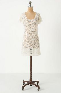 Lacy Cover Up   Anthropologie