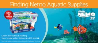 Fish Penn Plax Finding Nemo from  