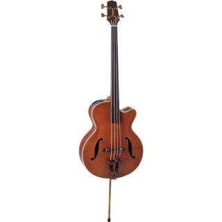 Takamine TB10 Acoustic Electric Upright Bass  Musicians Friend