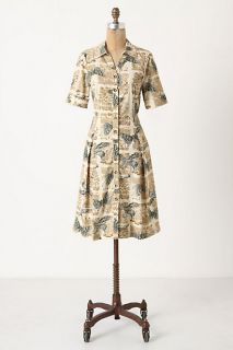 Alary Shirtdress   Anthropologie