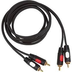 AV Link Dual RCA RCA Cable Cable that counts.  GuitarCenter 