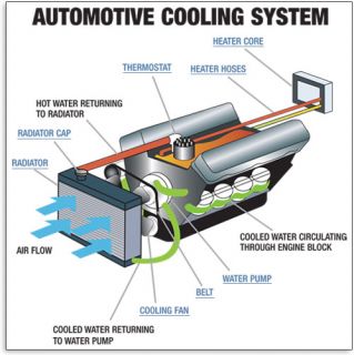 Cooling System   Understand Your Vehicle   AutoZone