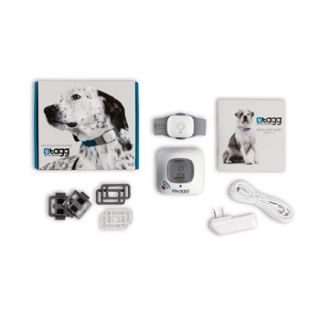 Tagg Pet Tracker   GPS Pet Tracker and GPS Dog Tracker from  