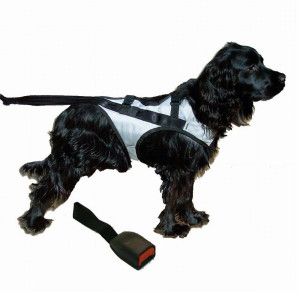 Snoozer® Pet Safety Harness w/ Adapter   Dog   Boutique   