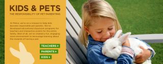 Kids n Pets   Elementary Classroom Pets Available Online from  