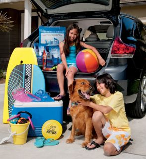 Before getting into your vehicle for summer road trips, consider these 