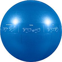 GoFit Pro Core Stability Ball   55cm   