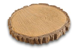 Log Stepping Stones   320mm from Homebase.co.uk 