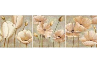 White Poppies   Canvas   40x40cm   Set of 3 from Homebase.co.uk 