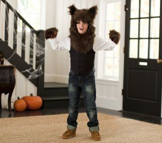 Werewolf Head & Paws Costume