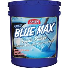 Elastomeric Paint & Roof Coating   Roof Paint and More 