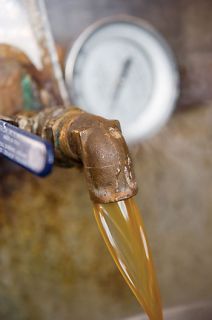 Maple syrup flows from the boiler where it will be transferred into 