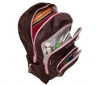 Large backpack holds a lunch bag, several notebooks and books & a 