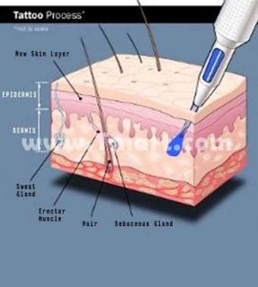 5pcs Professional Sterilized Round Liner Tattoo Needles 5RL   Tmart 