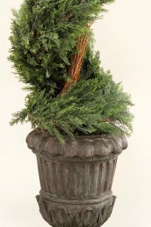 Spiral Topiary in Urn   Topiaries   Home Accents   Home Decor 